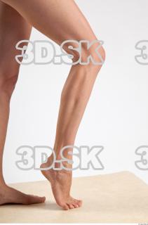 Leg reference of Tracey 0011